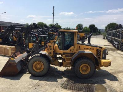 Volvo L110F